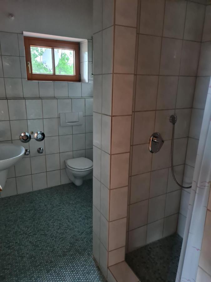 Toller Bergblick Vom Ruhigen Sonnenbalkon, Nur 50M Zum See & Oepnv Inklusive Blaichach Kültér fotó